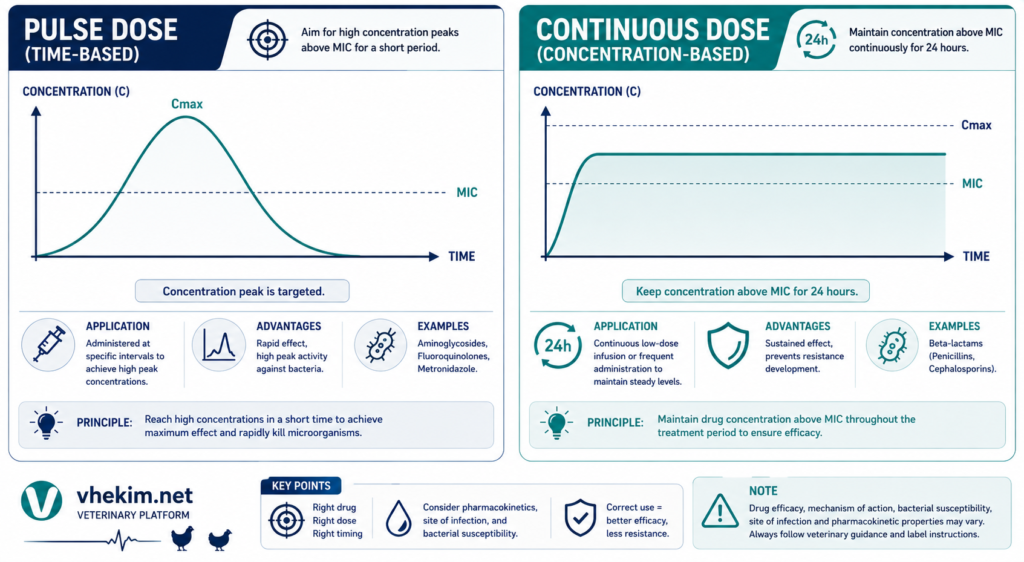 Pharmacodynamic Dynamics: Pulse Dosing vs. Continuous Dosing