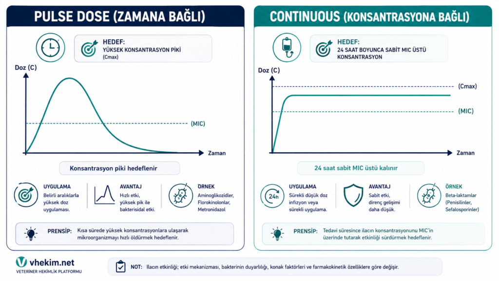 Pulse Dose (Şok Tedavi) vs Continuous (Sürekli) Tedavi